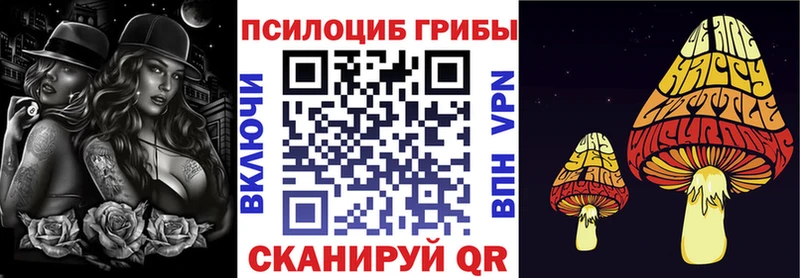 Галлюциногенные грибы прущие грибы  Волхов 