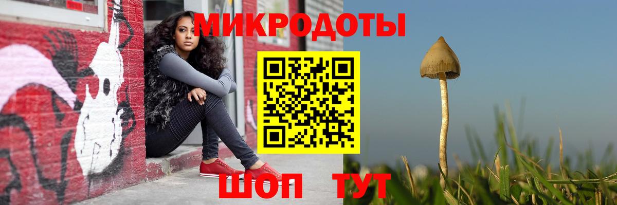 Волхов  Псилоцибиновые грибы GOLDEN TEACHER  Вход с VPN  Галлюциногенные грибы Psilocybine cubensis 