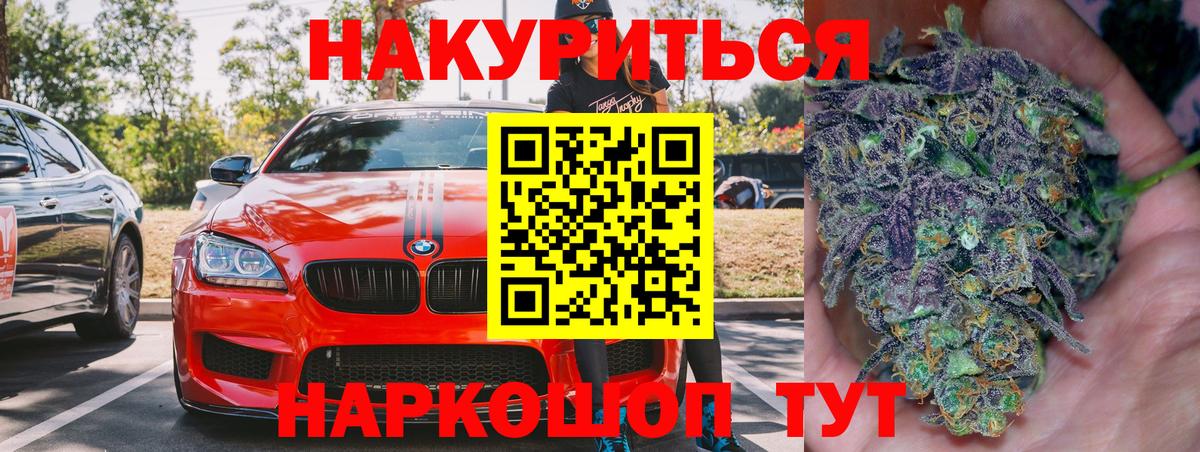 Канабис сатива Волхов